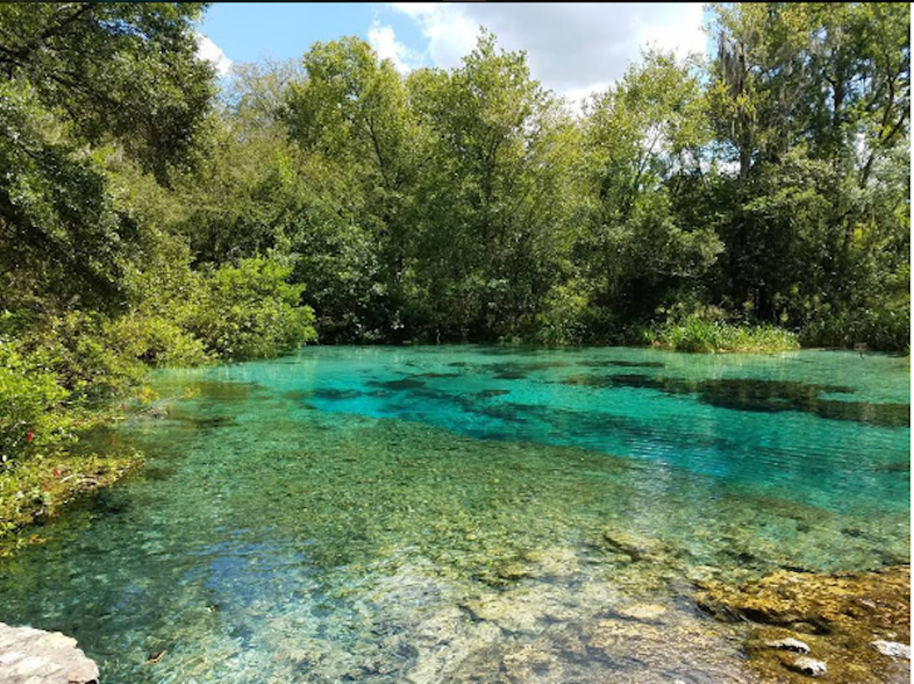 Ichetucknee Springs State Park
12087 SW U.S.Highway 27, Fort Whiteabout two and a half hours away
Photo via jm_so_willing/Instagram