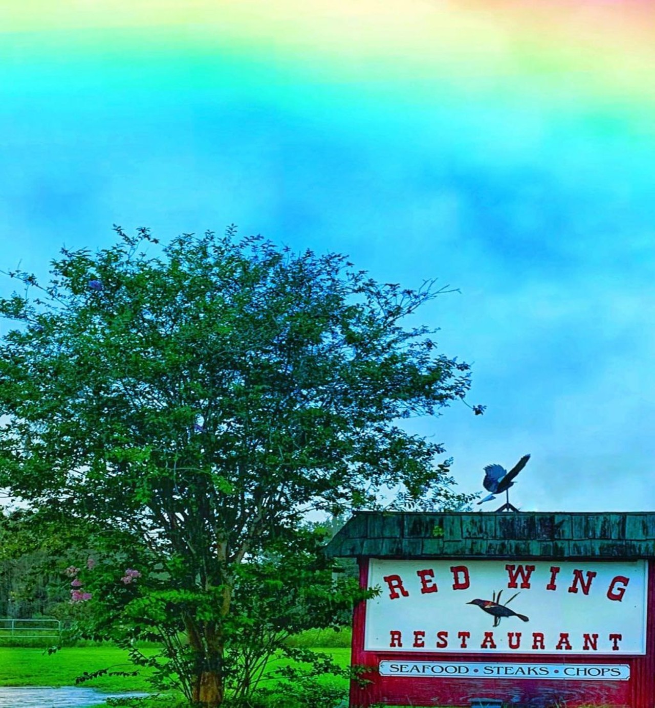 Red Wing Restaurant 
12500 FL-33, Groveland, FL 34736, (352) 429-2997
Red Wing has been open since the 1940s and they offer a variety of hand cut steaks, fresh fish and meat.
Photo via Red Wing Restaurant/Facebook
