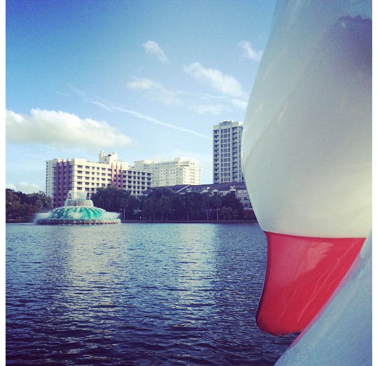 Taking a swan boat out for a spin on Lake Eola