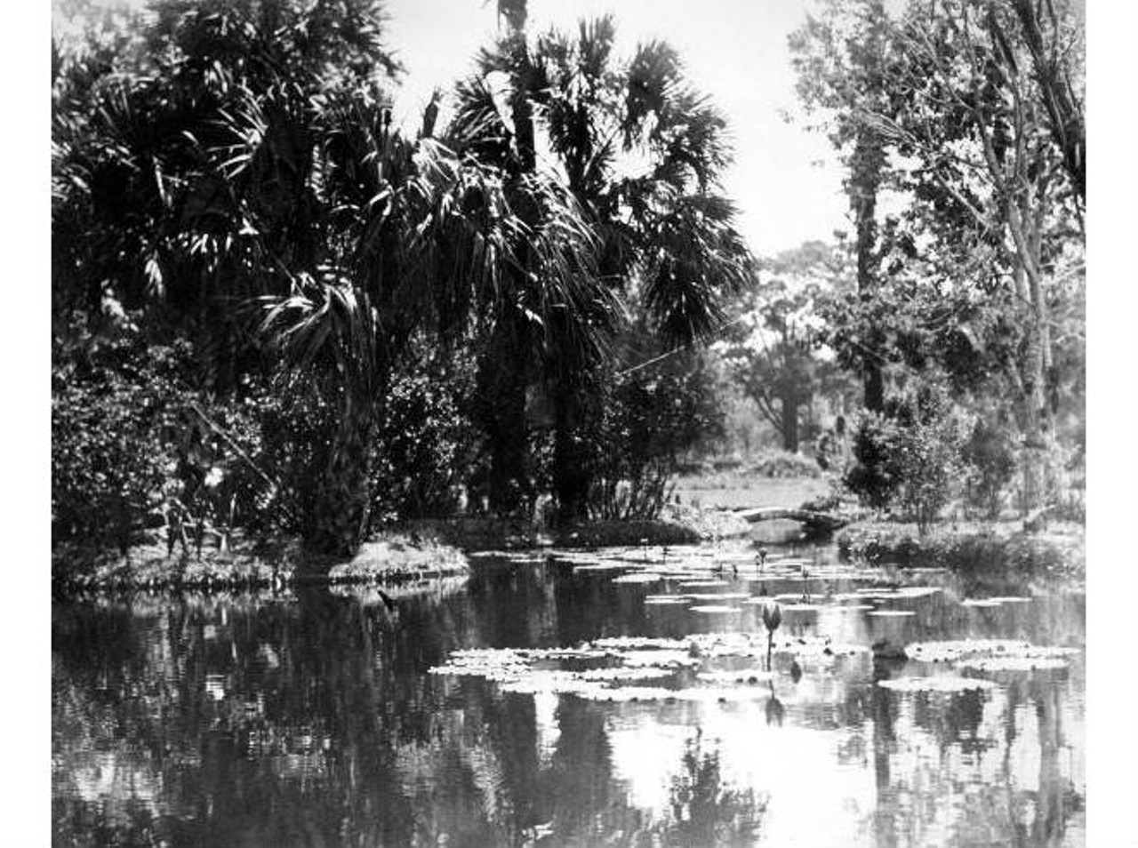 Lake Eola