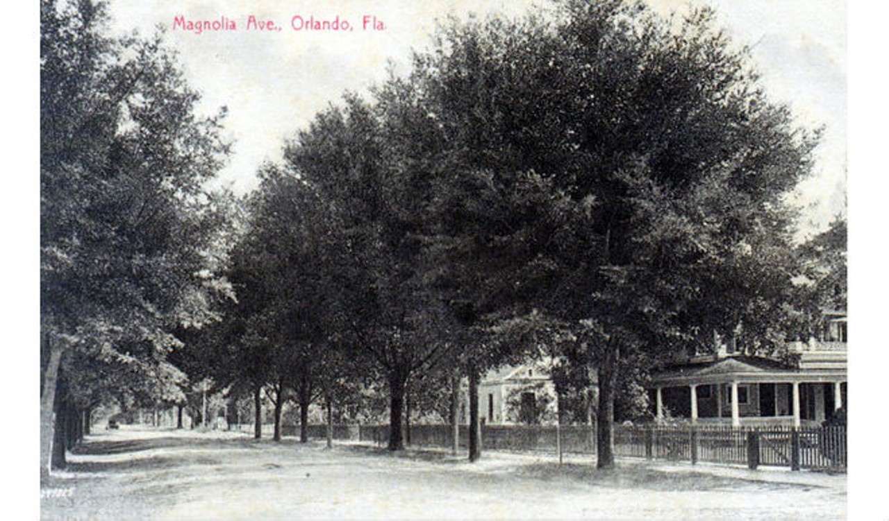 Magnolia Avenue