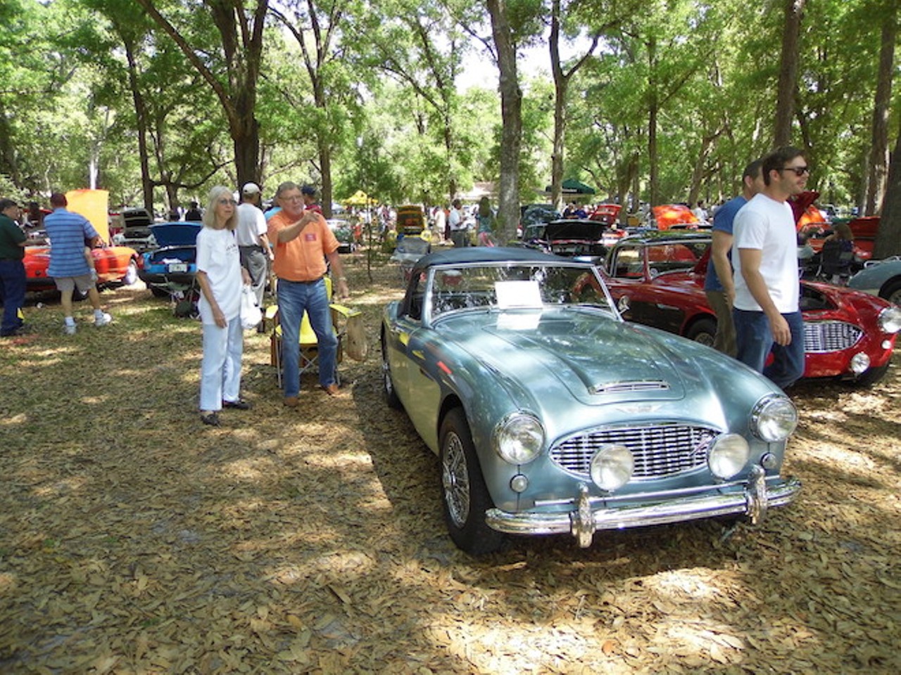 40 classic shots of the All-British Car Show at Mead Garden