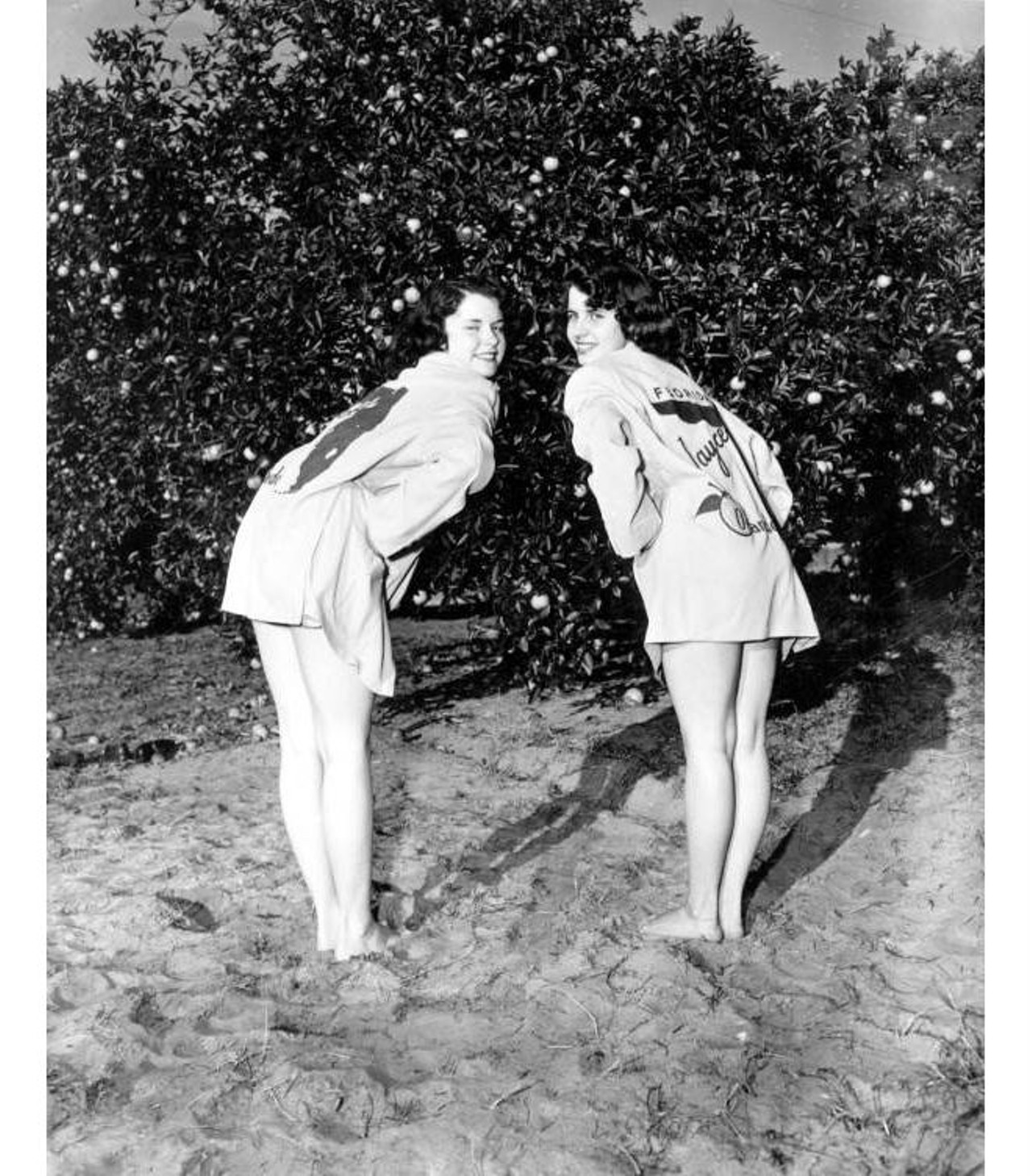 Two young women posing in front of orange trees
