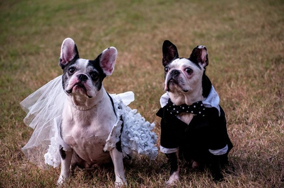 See all the ADORABLE photos from the wedding now. - PHOTOS COURTESY OF THE GROOM'S OWNER
