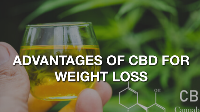 Advantages of CBD oil on weight loss and obesity