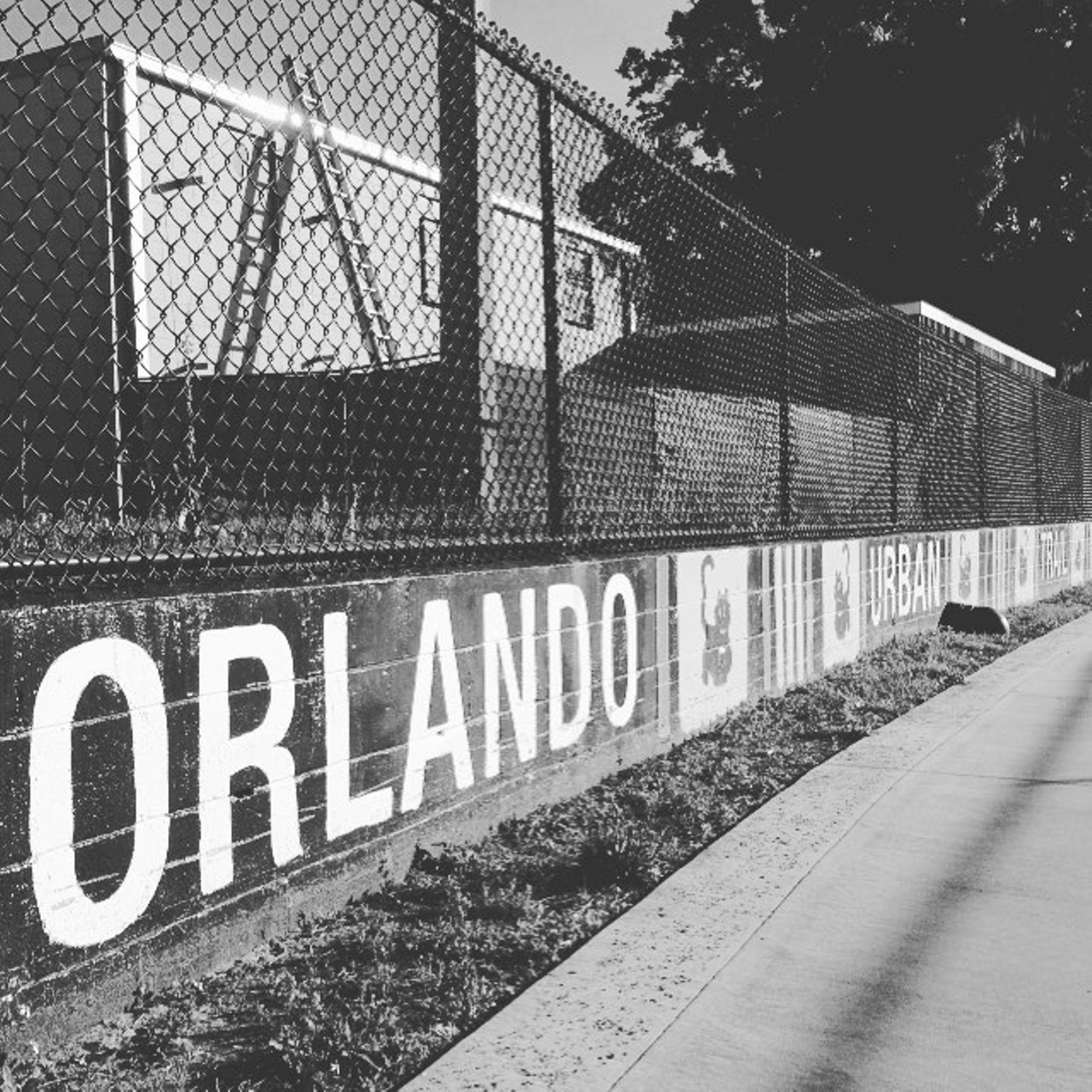 Orlando Urban Trail
Located in Downtown Orlando, this 2.6 mile trail is perfect for wildlife watching as it passes by several lakes. It ends at Loch Haven Park, which has the Orlando Science Center, the Orlando Museum of Art and the Orlando Shakespeare Theater.
Photo via Orlando Weekly/Instagram