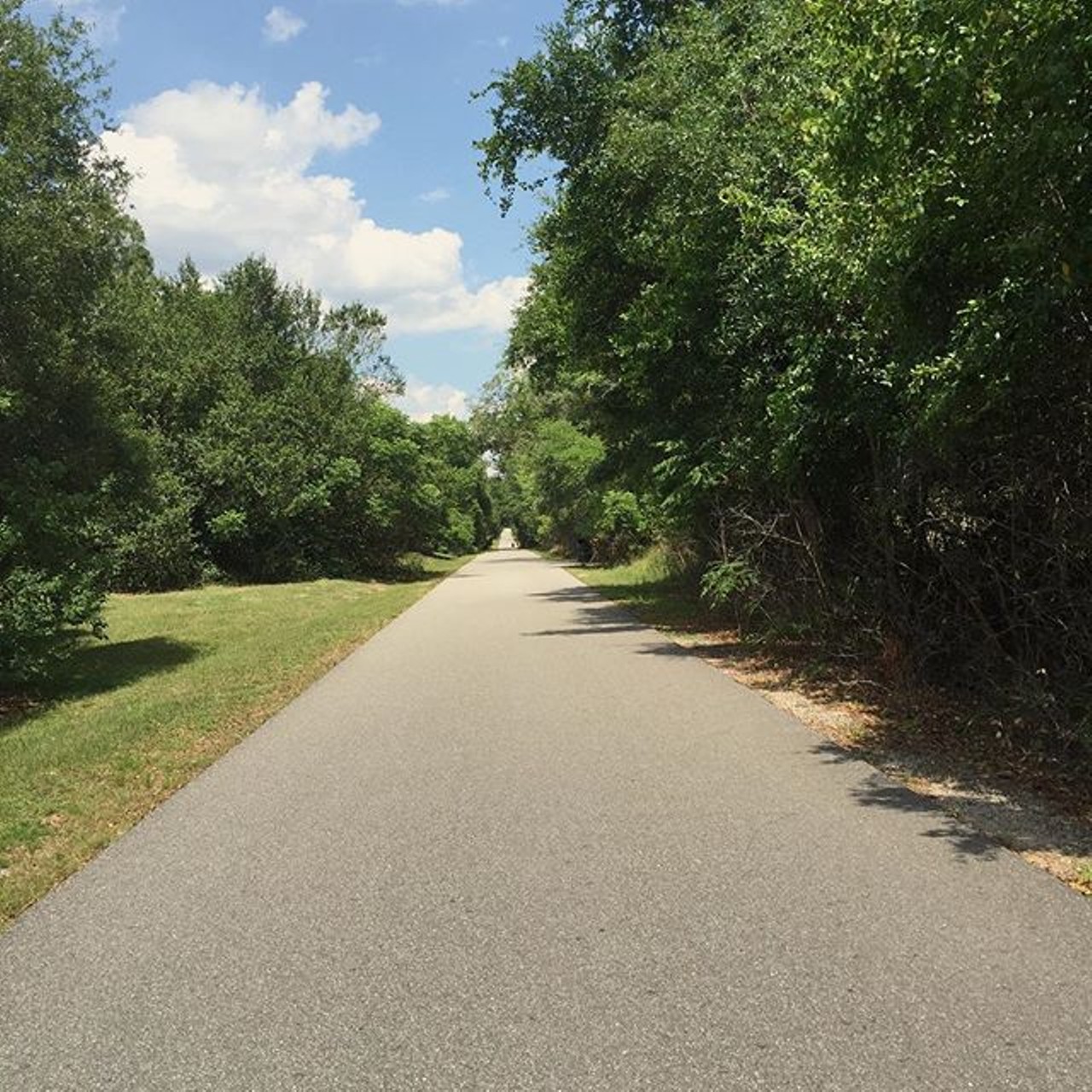 Seminole Wekiva Trail
This paved recreational and commuting path is about 14 miles, linking Altamonte Springs, Lake Mary and Longwood. The path is a part of the Seminole County&#146;s Showcase Trails due to its scenery, many users and length.
Photo via Alisonm95/Instagram