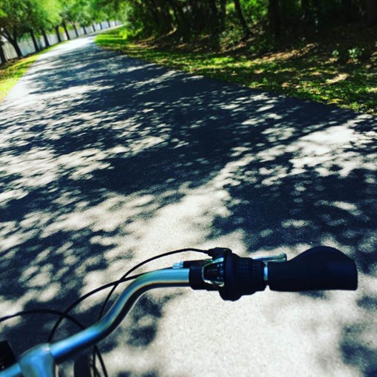 West Orange Trail
Photo via /Instagram 
Over twenty miles of paved trail travels through  Killarney and Oakland, Winter Garden and downtown Apopka. When riding through the town of Tildenville, there&#146;s a butterfly garden in the Tildenville outpost. Bike rentals are available at the Killarney Station in Oakland and the Winter Garden Station.
Photo via Janetsbarth/Instagram