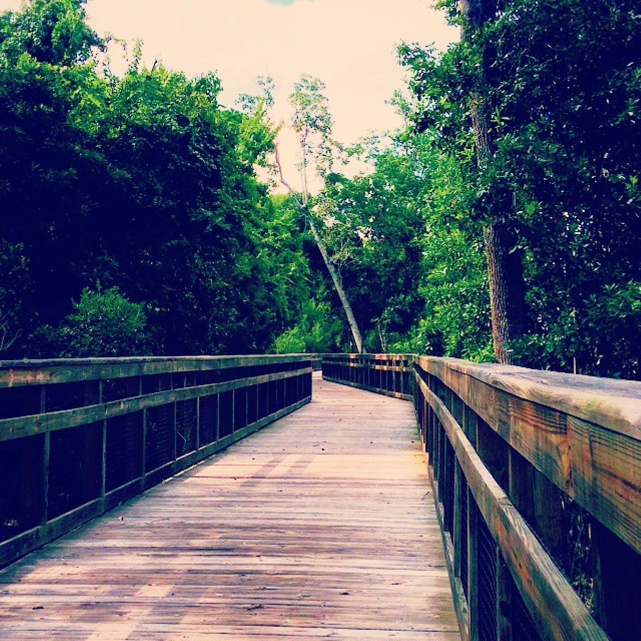 Casselberry Greenway Trail
Formally known as the Wirz trail, the five mile trail connects travelers to four parks, two schools and shopping areas. 
Photo via Deannaisabel/Instagram