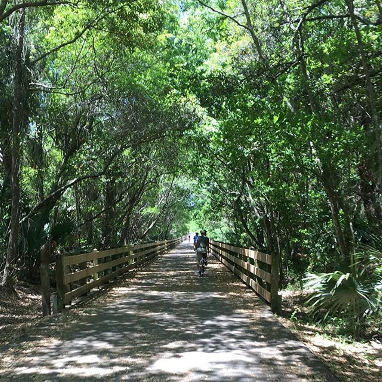 Cross Seminole Trail
This trail travels through Oviedo and Winter Springs. For a pedaling break, Spring Hammock Preserve is an off-road experience.
Photo via msealesm/Instagram