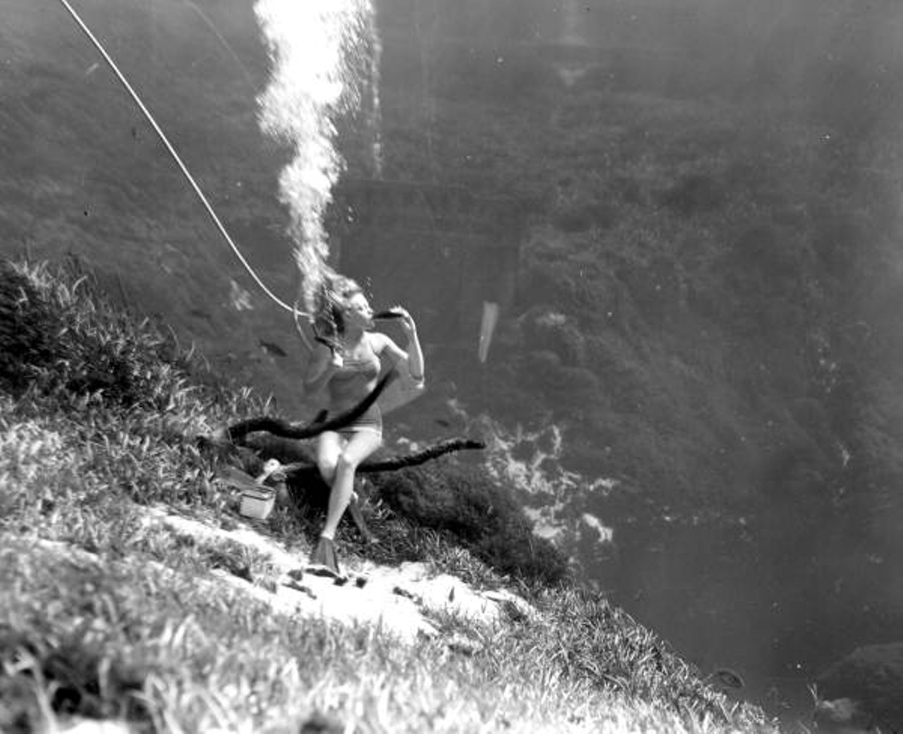 Weeki Wachee Springs
Weeki Wachee Springs was long famous for its live underwater mermaid performances, like this one captured in 1950. Floridians and tourists flocked to the site to enjoy the clear waters and revel in the fantasy of elegant sea-people.