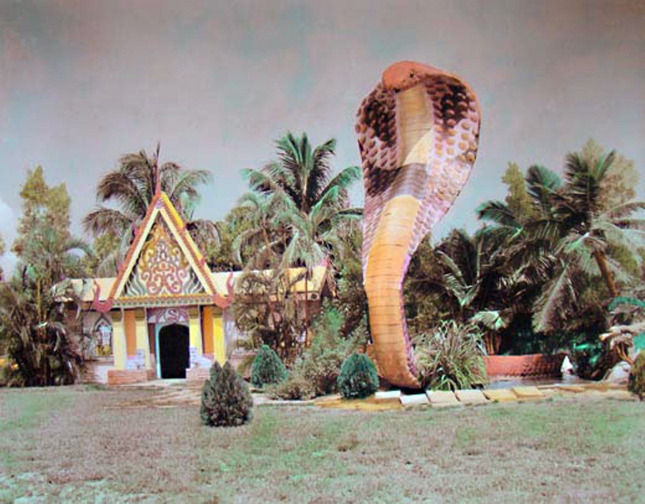 The Miami Serpentarium
The Miami Serpentarium was open from 1947 to 1985, and was the first-of-it's kind pioneering venom production laboratory in the world. Located along the South Dixie Highway, the Serpentarium featured green mambas, king cobras, palm vipers and plenty of other venomous snakes, on top of the 35-foot-high concrete and stucco cobra outside the building. Presiding over the snakes was Bill Hasst, snake handler and scientist who injected himself with a cocktail of snake venom every week to prove it could treat various ailments.
