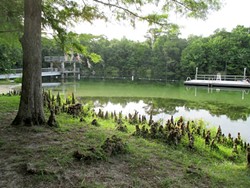 Behold the beauty of Silver Springs, playground for the second Creature feature. Photo by Ashley Belanger.