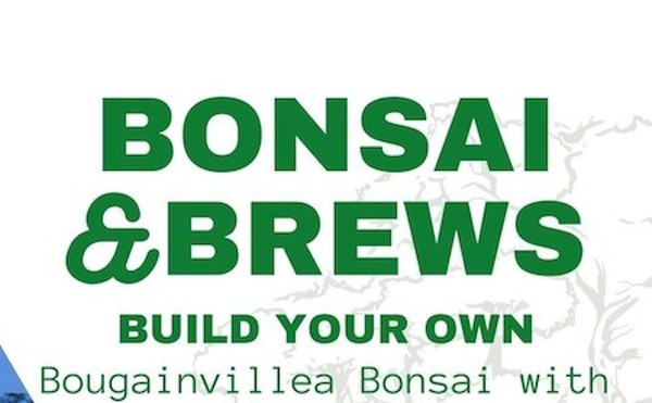 Bonsai and Brews