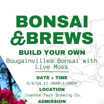 Bonsai and Brews