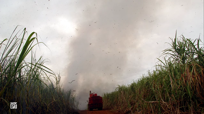 Burning sugar cane pollutes communities of color in Florida. Brazil shows there’s another way
