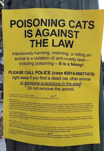 Cat poisoning in Colonialtown?