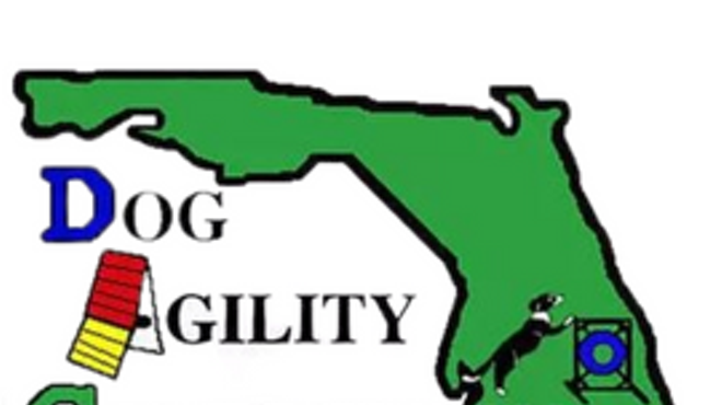 Dog Agility Competition of Florida