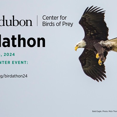Earth Day Puzzle Trail: A Special Birdathon Event