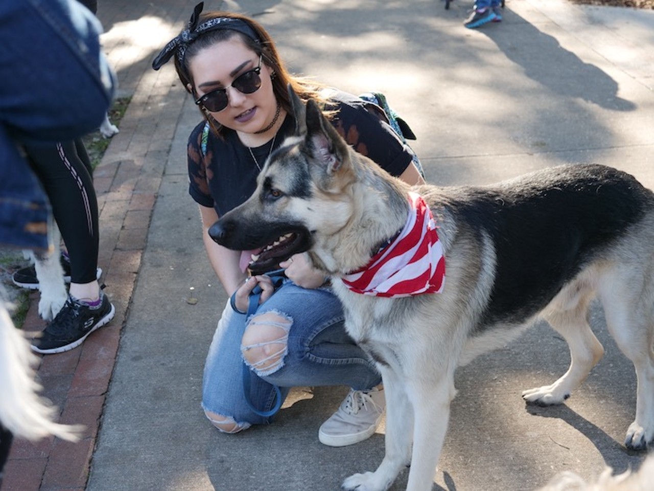 Every 'very good boy' we saw at Orlando's Paws in the Park 2019