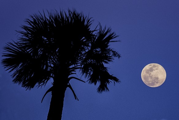 Everyone's sharing photos of the Pink Supermoon over Florida