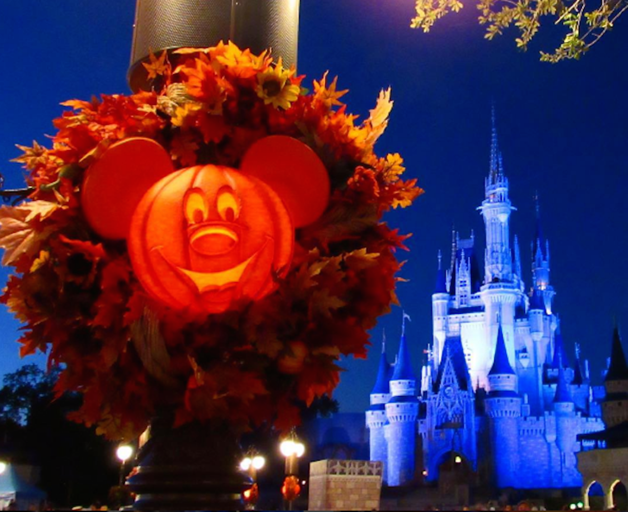Mickey&#146;s Not-So-Scary Halloween Party
Select Nights Sept. 2-Oct. 31, Magic Kingdom, 3111 World Drive, 407-939-5277
The Magic Kingdom&#146;s annual halloween event includes special fireworks, a parade led by the headless horsemen, and trick-or-treating around the park. Guests of all ages are allowed to attend and are encouraged to wear costumes. Tickets start at $72. 
Photo via bowsbeadsbows/Instagram
