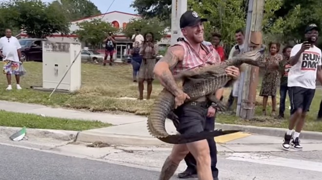 Florida MMA fighter captures 8-foot alligator with bare hands and feet