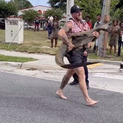 Florida MMA fighter captures 8-foot alligator with bare hands and feet