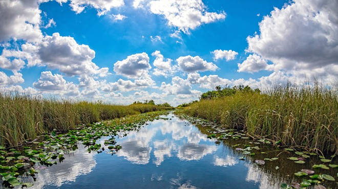 Florida Senate's proposed $6.1 billion spending plan includes sea-level rise mitigation, Everglades protection