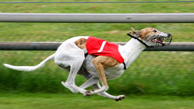 Florida's greyhound racing ban, set to take effect in 2021, faces another lawsuit
