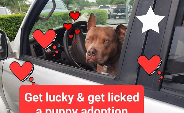 Get Lucky and Get Licked Puppy Adoption