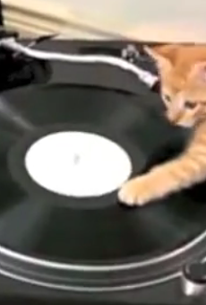 Happy Monday. Here are some kittens learning to be DJs.