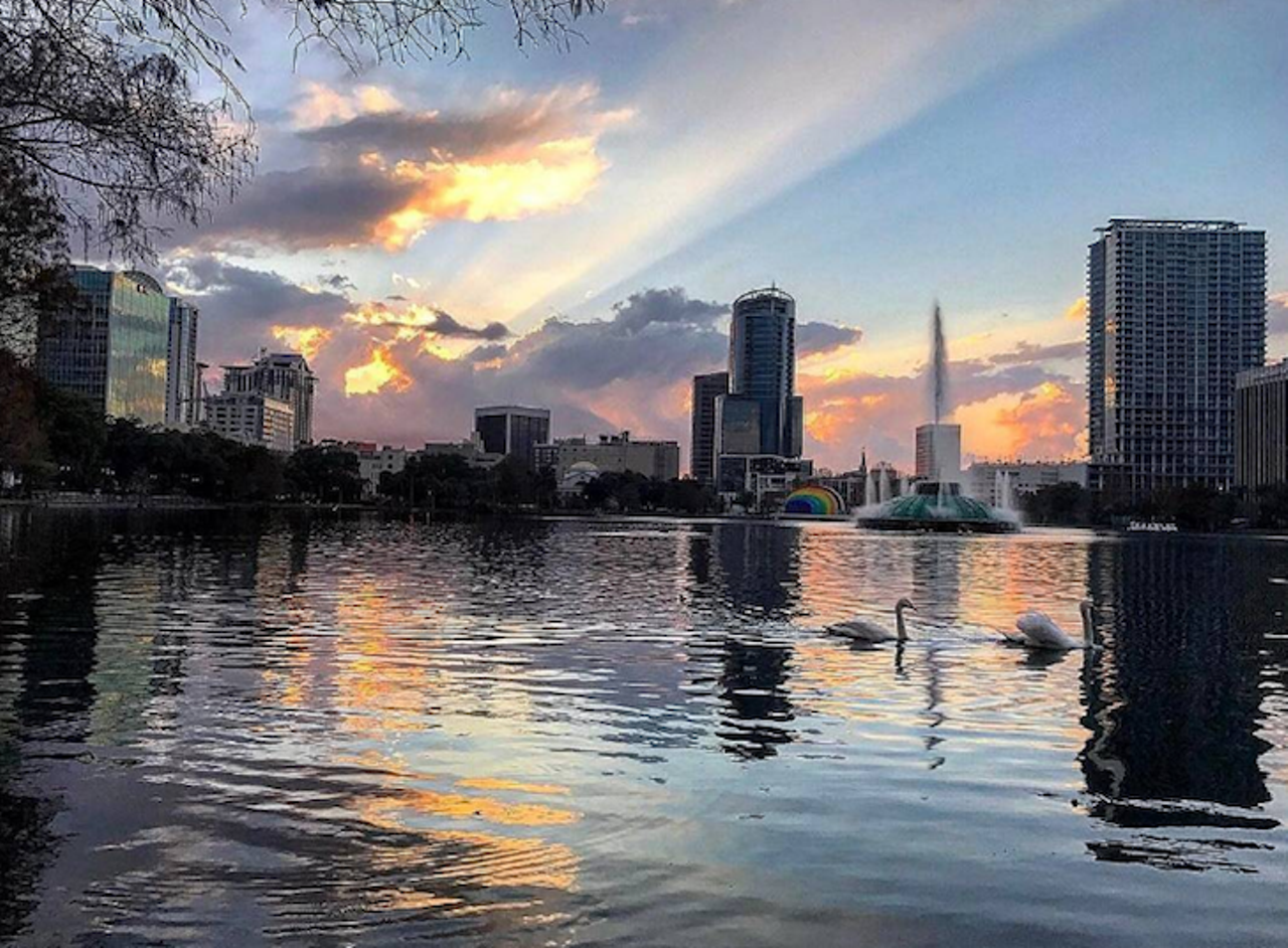 Lake Eola
512 E. Washington St., Orlando; free 
Skip the stuffy (and expensive) restaurant and enjoy the fresh air and a sunset at Lake Eola. Have a little picnic of your own and relax by the water and feed some swans. 
Photo via Lake Eola/Instagram