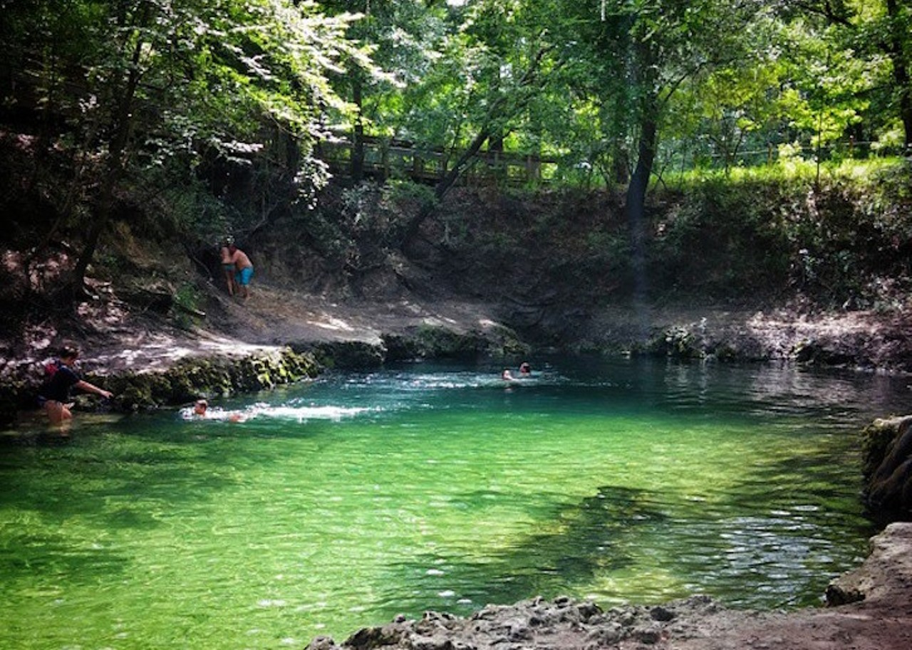 Lafayette Blue Springs
799 Northwest Blue Springs Road, Mayo | Distance: 2 hours and 51 minutes
Lafayette Blue Springs is a nature wonderland. You&#146;ve got a sinkhole showcase to the West, a limestone bridge at the base of the main pool and the Suwannee River just waiting to flood its waters into Lafayette. Swimming here is unlike anything else in Florida.
Photo via bornofwater/Instagram