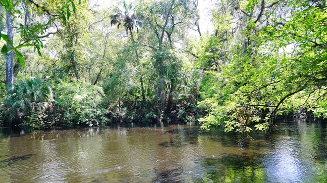 Hillsborough River State Park