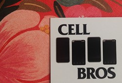 cell-brosjpg