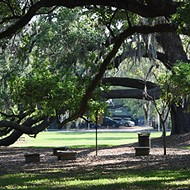 Mayor Buddy Dyer says he wants to try to save the giant oak tree in Constitution Green Park