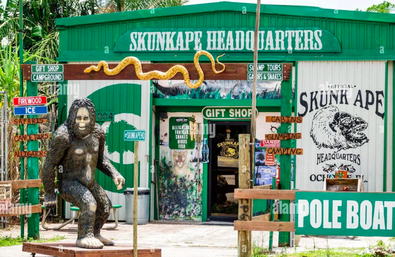 Skunk Ape Research Headquarters
40904 Tamiami Trail East, Ochopee
Ah, the skunk ape: Florida's very own ever-elusive Bigfoot equivalent. Here at Skunk Ape HQ, guests can enjoy tons of proof of the animal's existence, as well as wildlife encounters, camping and a killer gift shop.