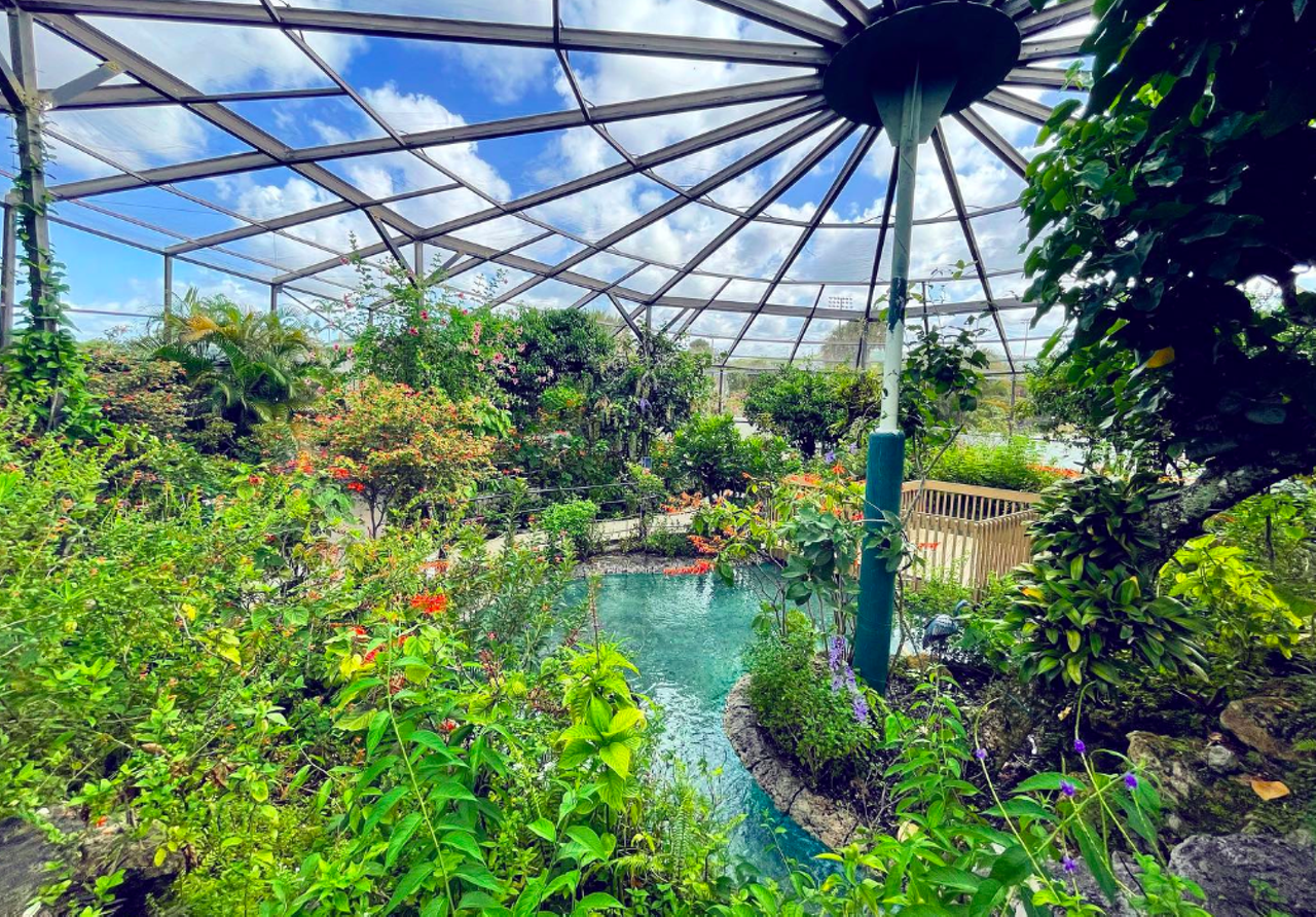 Butterfly World
3600 W. Sample Road, Coconut Creek
Florida is known for many things, but you might be surprised to learn it's home to the largest butterfly park in the world. The tropical oasis-like zoo is filled with more than 20,000 exotic butterflies and insects all in one place.