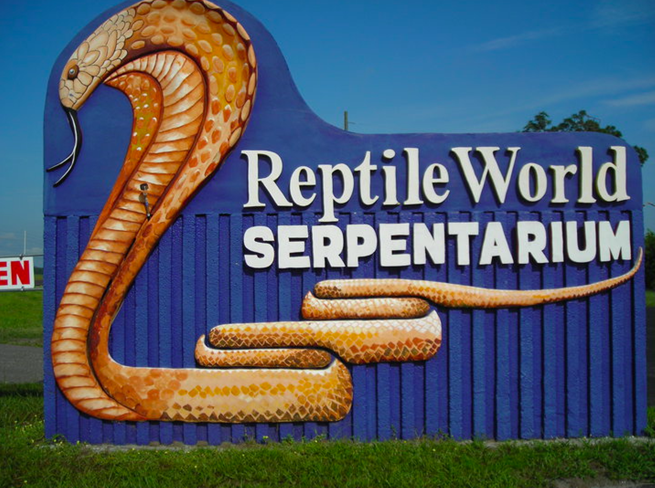 Reptile World Serpentarium
5705 E. Irlo Bronson Memorial Highway, St. Cloud
This Osceola County reptile zoo features more than 75 species of snakes, as well as lizards, crocodiles, alligators and turtles. You can learn a thing or two about native and exotic reptiles, see some critters or even attend a venom-milking show.