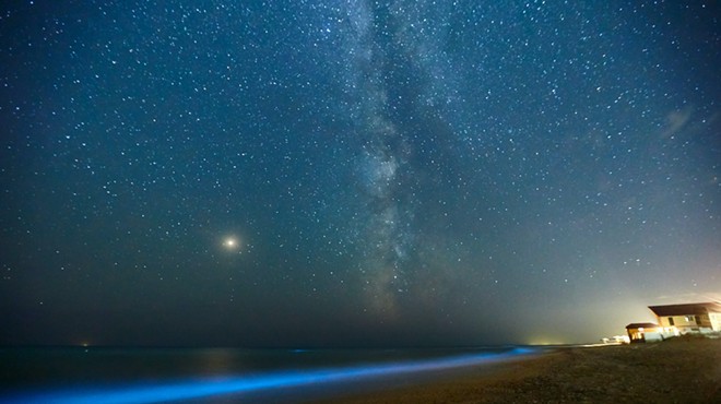 Natural bioluminescence lights up Space Coast waterways after dark