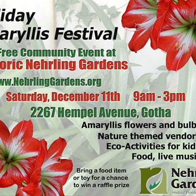 Nehrling Gardens Holiday Amaryllis Festival