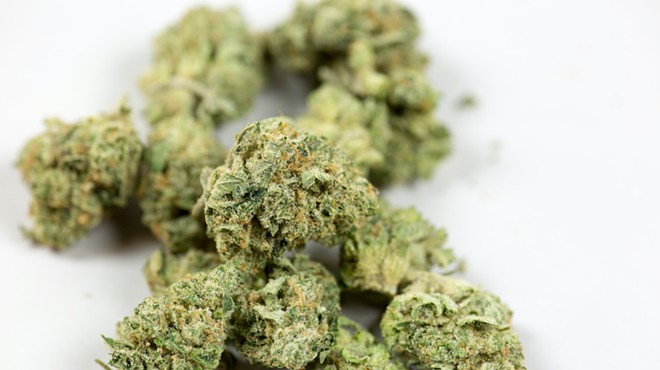 Recreational marijuana amendment filed in Florida again