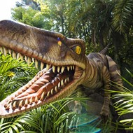 New Raptor Encounter attraction opens at Universal Orlando this weekend