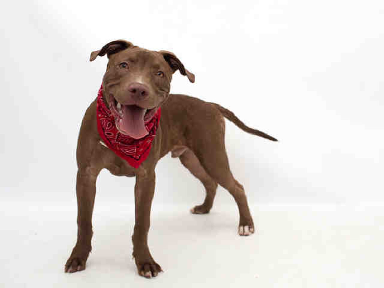 Luther, shelter ID A267026