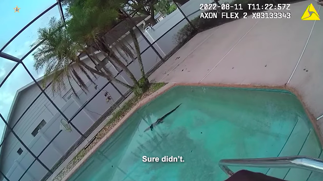 Orange County Sheriff's Office share footage of gator found in woman's swimming pool