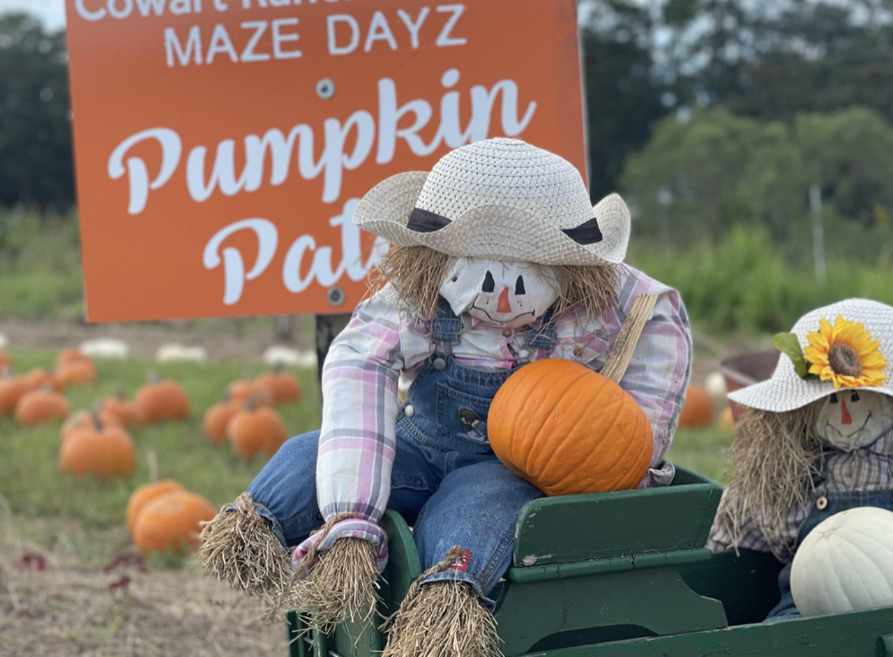 Cowart Ranch and Farms
8185 State Route 100, Bunnell
Friday through Sunday, Oct. 6-29
The 10th Annual Maze Dayz will be held Oct. 6 through the 29th at the Cowart Ranch Farms. This annual event offers a crop maze, corn cannon, pumpkin patch, games and more. Check out the farm's Facebook for a chance to win tickets.