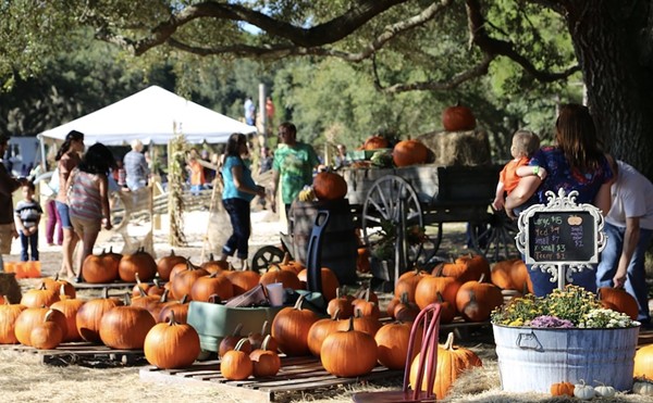 Partin Ranch Corn Maze Fall Festival
5601 N. Canoe Creek Road, St. Cloud
Saturdays and Sundays starting Oct. 5
Partin Ranch Corn Maze's Fall Festival is full of all things autumnal and family friendly. Activities include a pumpkin patch and general store, barrel train, ranch animal viewings, hayrides, games and several lengthy crop trails to roam through.