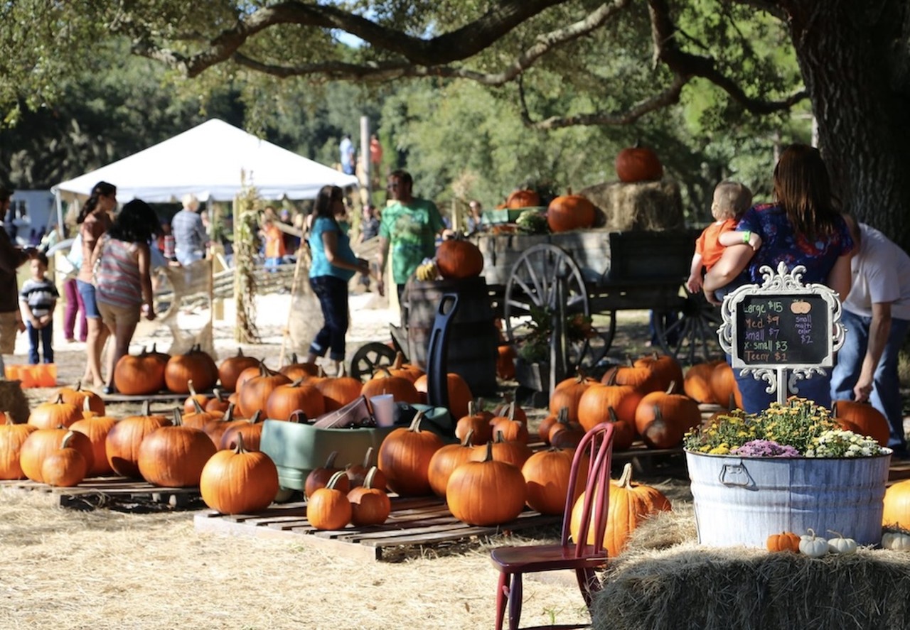 Partin Ranch Corn Maze Fall Festival
5601 N. Canoe Creek Road, St. Cloud
Saturdays and Sundays starting Oct. 5
Partin Ranch Corn Maze's Fall Festival is full of all things autumnal and family friendly. Activities include a pumpkin patch and general store, barrel train, ranch animal viewings, hayrides, games and several lengthy crop trails to roam through.