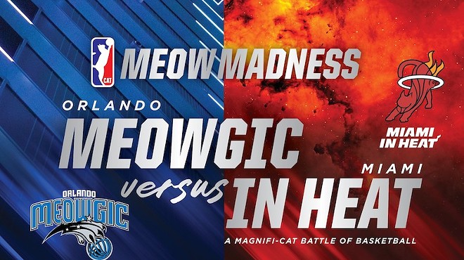 Orlando Meowgic vs. Miami In Heat Cat Basketball Showdown